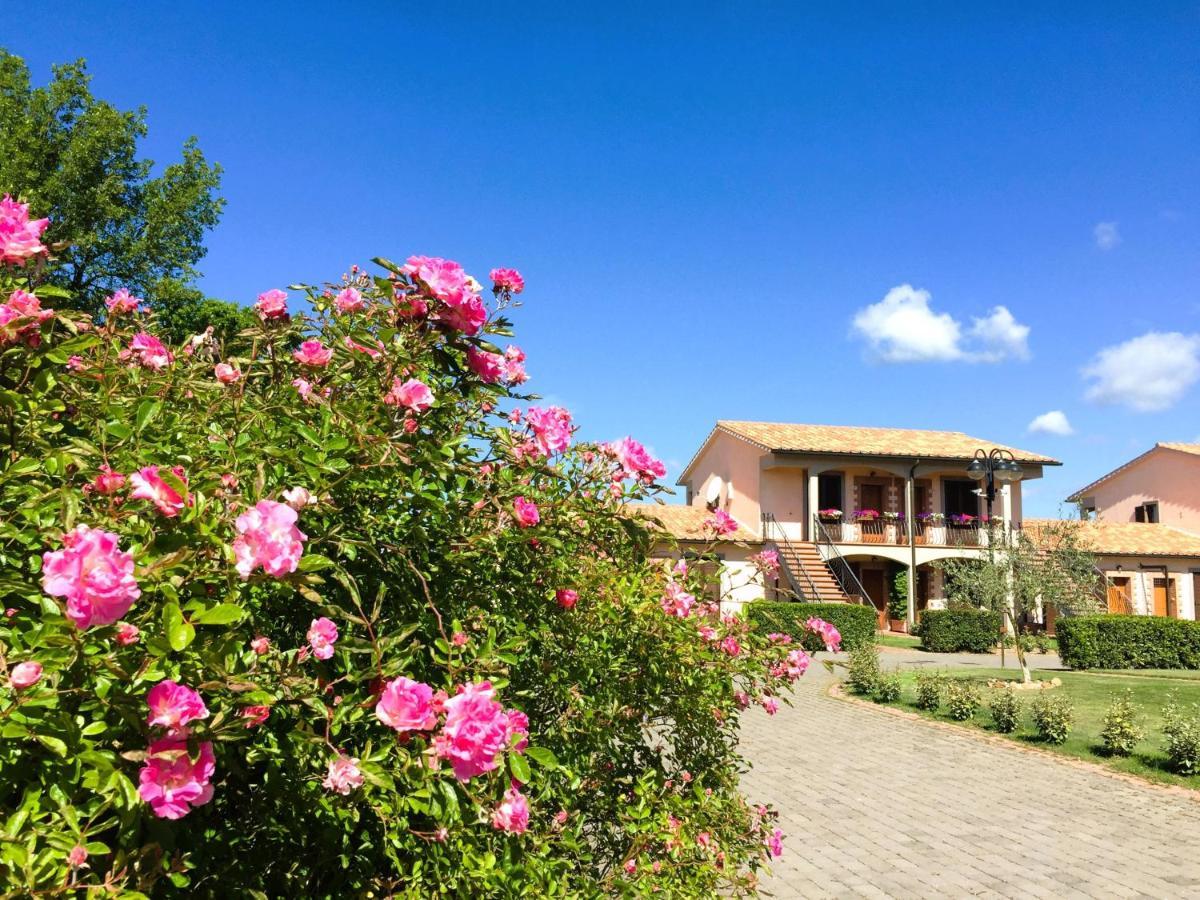 Isa - Residence With Swimming Pool In Sorano, Apartments With Air Conditioning And Private Outdoor Area ภายนอก รูปภาพ
